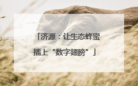 济源：让生态蜂蜜插上“数字翅膀”