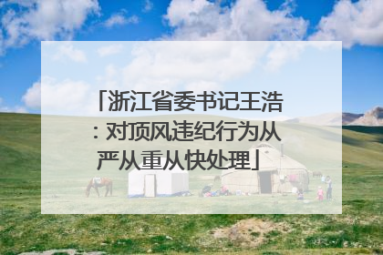 浙江省委书记王浩：对顶风违纪行为从严从重从快处理