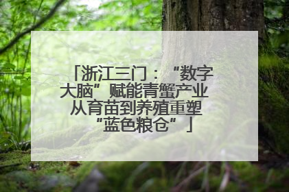 浙江三门：“数字大脑”赋能青蟹产业 从育苗到养殖重塑“蓝色粮仓”
