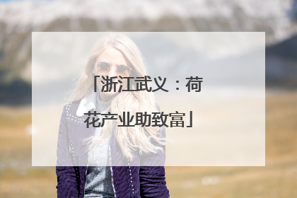 浙江武义：荷花产业助致富