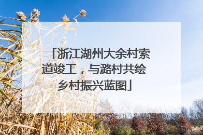 浙江湖州大余村索道竣工，与潞村共绘乡村振兴蓝图
