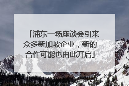 浦东一场座谈会引来众多新加坡企业，新的合作可能也由此开启