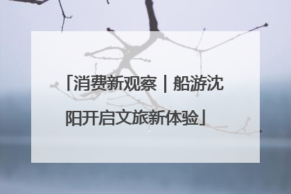 消费新观察｜船游沈阳开启文旅新体验