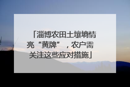 淄博农田土壤墒情亮“黄牌”，农户需关注这些应对措施