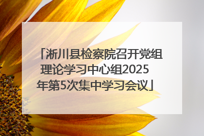 淅川县检察院召开党组理论学习中心组2025年第5次集中学习会议