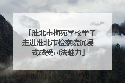 淮北市梅苑学校学子走进淮北市检察院沉浸式感受司法魅力