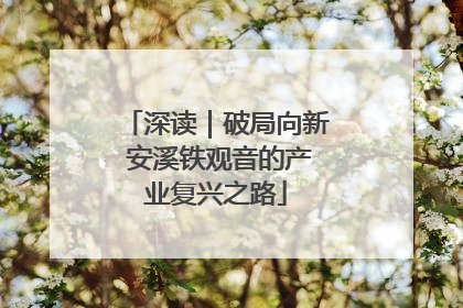 深读｜破局向新 安溪铁观音的产业复兴之路