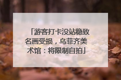 游客打卡没站稳致名画受损，乌菲齐美术馆：将限制自拍