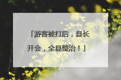 游客被打后，县长开会，全县整治！