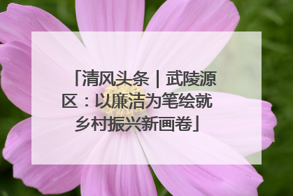 清风头条｜武陵源区：以廉洁为笔绘就乡村振兴新画卷