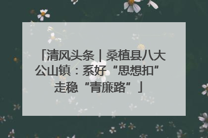 清风头条｜桑植县八大公山镇：系好“思想扣” 走稳“青廉路”