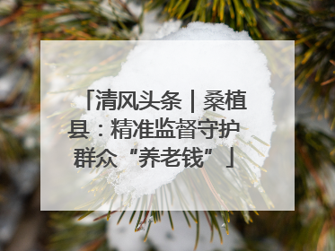 清风头条｜桑植县：精准监督守护群众“养老钱”