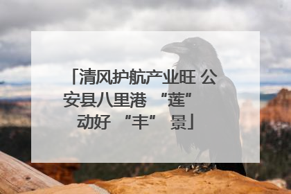 清风护航产业旺 公安县八里港 “莲” 动好 “丰” 景