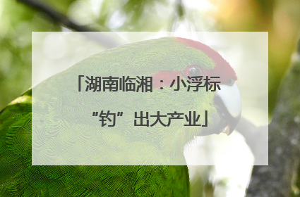 湖南临湘：小浮标“钓”出大产业
