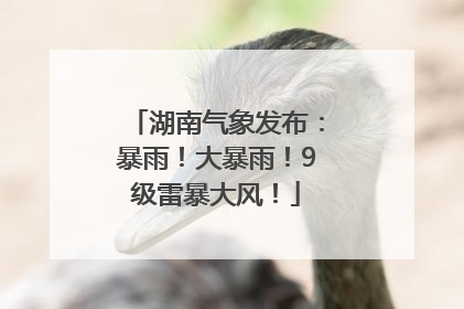 湖南气象发布：暴雨！大暴雨！9级雷暴大风！