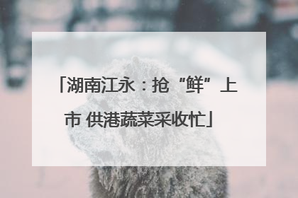 湖南江永：抢“鲜”上市 供港蔬菜采收忙