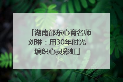 湖南邵东心育名师刘琳：用30年时光编织心灵彩虹