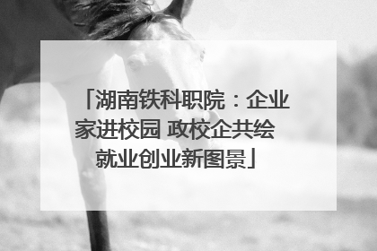 湖南铁科职院：企业家进校园 政校企共绘就业创业新图景