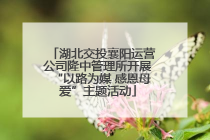 湖北交投襄阳运营公司隆中管理所开展“以路为媒 感恩母爱”主题活动