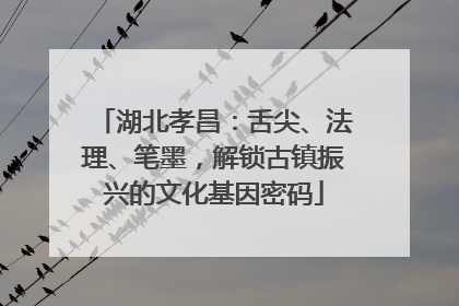 湖北孝昌：舌尖、法理、笔墨，解锁古镇振兴的文化基因密码