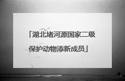 湖北堵河源国家二级保护动物添新成员