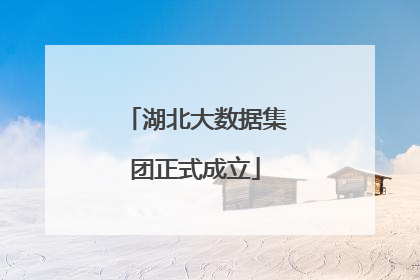 湖北大数据集团正式成立