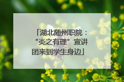 湖北随州职院：“炎之有理”宣讲团来到学生身边