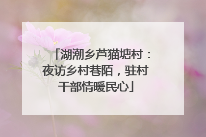 湖潮乡芦猫塘村：夜访乡村巷陌，驻村干部情暖民心