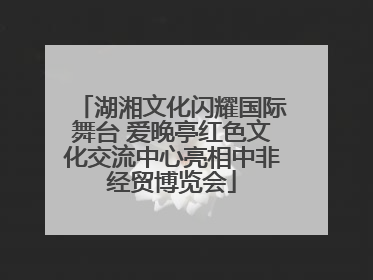 湖湘文化闪耀国际舞台 爱晚亭红色文化交流中心亮相中非经贸博览会