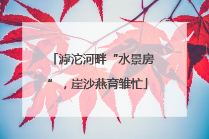滹沱河畔“水景房”，崖沙燕育雏忙