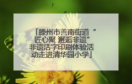 滕州市善南街道“匠心聚 邂逅非遗”非遗活字印刷体验活动走进清华园小学