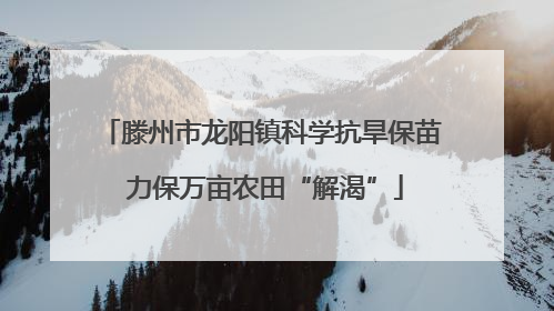 滕州市龙阳镇科学抗旱保苗 力保万亩农田“解渴”