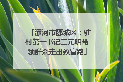 漯河市郾城区：驻村第一书记王元明带领群众走出致富路