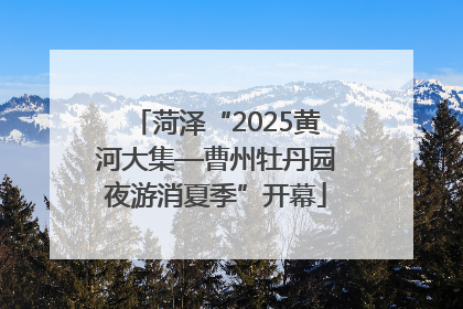 菏泽“2025黄河大集—曹州牡丹园夜游消夏季”开幕