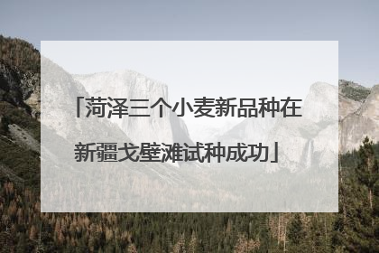 菏泽三个小麦新品种在新疆戈壁滩试种成功