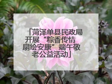 菏泽单县民政局开展“粽香传情 扇绘安康”端午敬老公益活动
