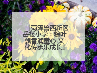 菏泽鲁西新区岳楼小学：粽叶飘香润童心 文化传承乐成长