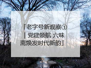 老字号新观察①｜党建领航 六味斋焕发时代新韵