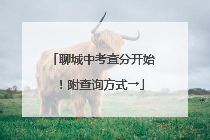 聊城中考查分开始！附查询方式→