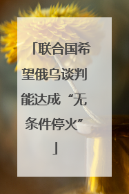 联合国希望俄乌谈判能达成“无条件停火”