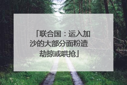 联合国：运入加沙的大部分面粉遭劫掠或哄抢