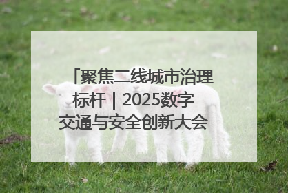 聚焦二线城市治理标杆｜2025数字交通与安全创新大会在保定隆重开幕