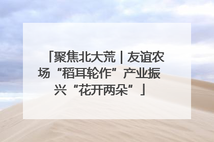 聚焦北大荒｜友谊农场“稻耳轮作”产业振兴“花开两朵”