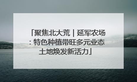 聚焦北大荒｜延军农场：特色种植带旺多元业态 土地焕发新活力