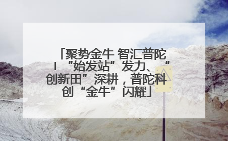 聚势金牛 智汇普陀〡“始发站”发力、“创新田”深耕，普陀科创“金牛”闪耀