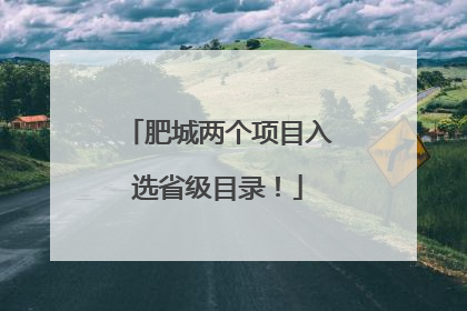 肥城两个项目入选省级目录！