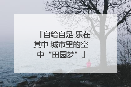 自给自足 乐在其中 城市里的空中“田园梦”