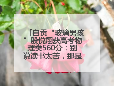 自贡“玻璃男孩”殷悦翔获高考物理类560分：别说读书太苦，那是我看世界的路