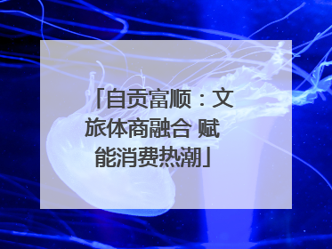 自贡富顺：文旅体商融合 赋能消费热潮