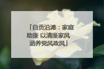 自贡沿滩：家庭助廉 以清廉家风涵养党风政风